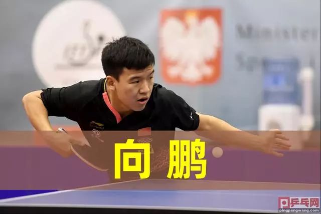 球员的表现