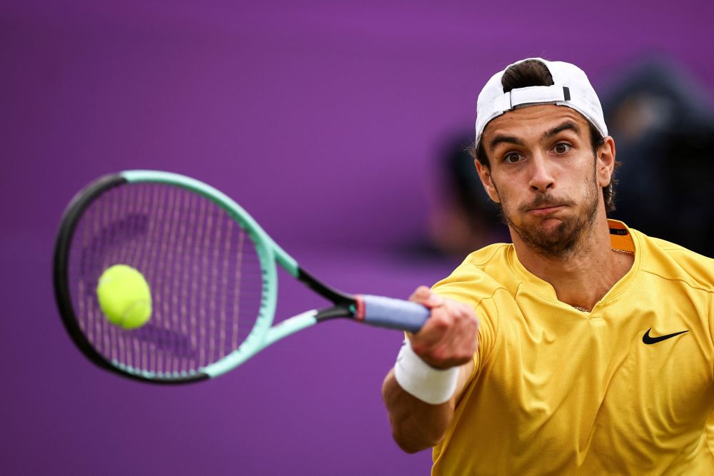 能在某些阶 能在某些阶